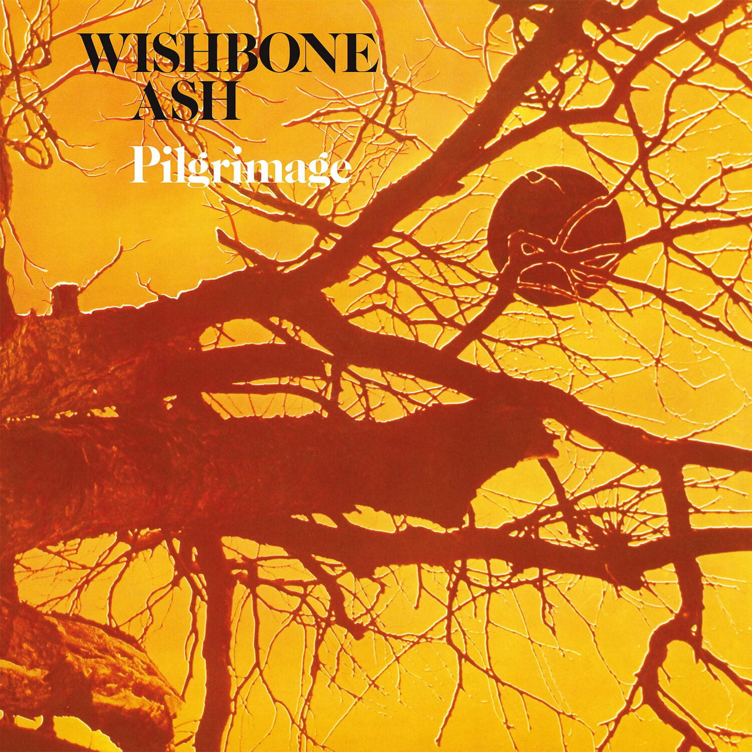 Wishbone Ash - Pilgrimage   - VINYL LP price history on PriceWatchPro
