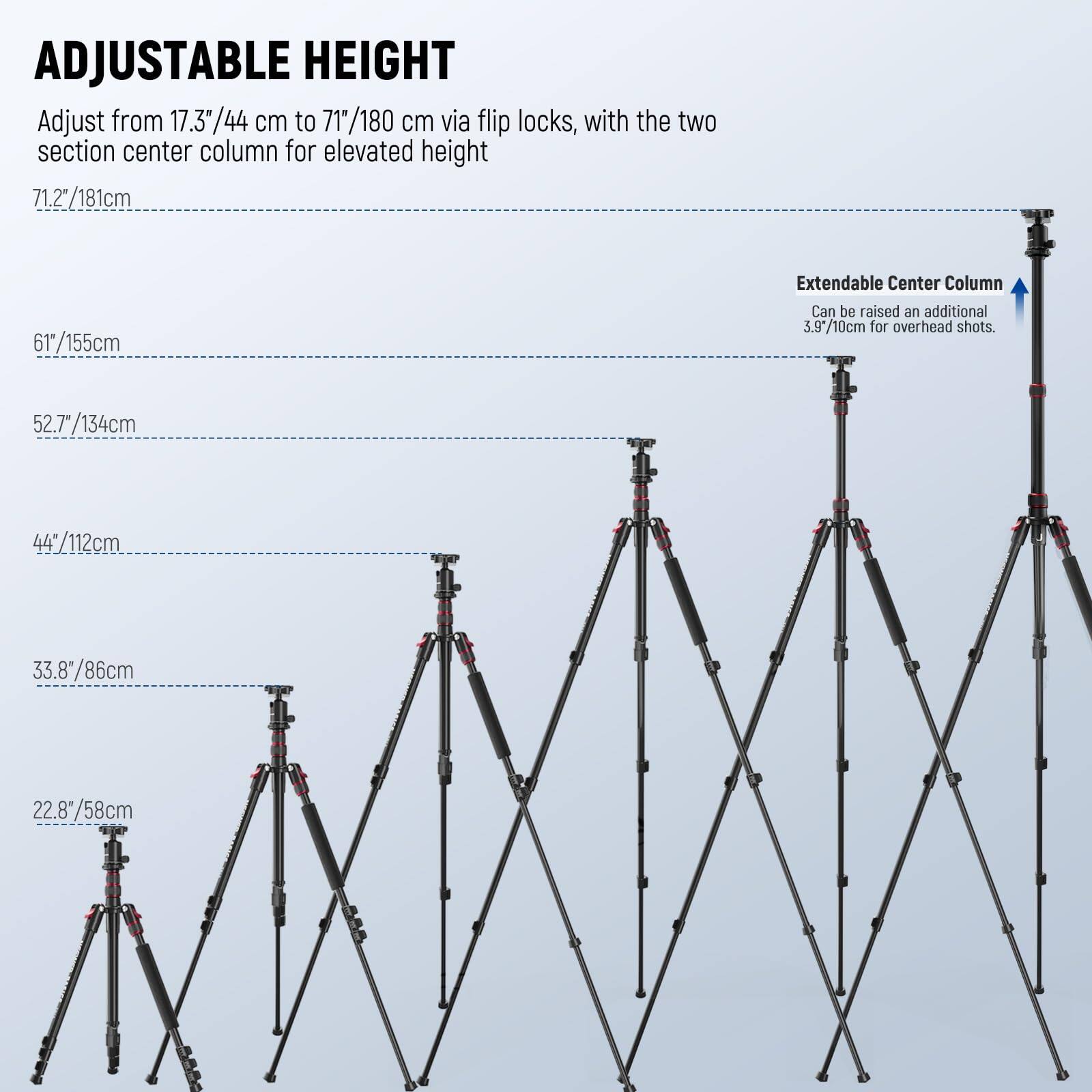 ADJUSTABLE HEIGHT  
Adjust from 17.3"/44 cm to 71"/180 cm via flip locks, with the two section center column for elevated height  
71.2"/181cm  
61"/155cm  
52.7"/134cm  
44"/112cm  
33.8"/86cm  
22.8"/58cm  

Extendable Center Column  
Can be raised an additional 3.9"/10cm for overhead shots.