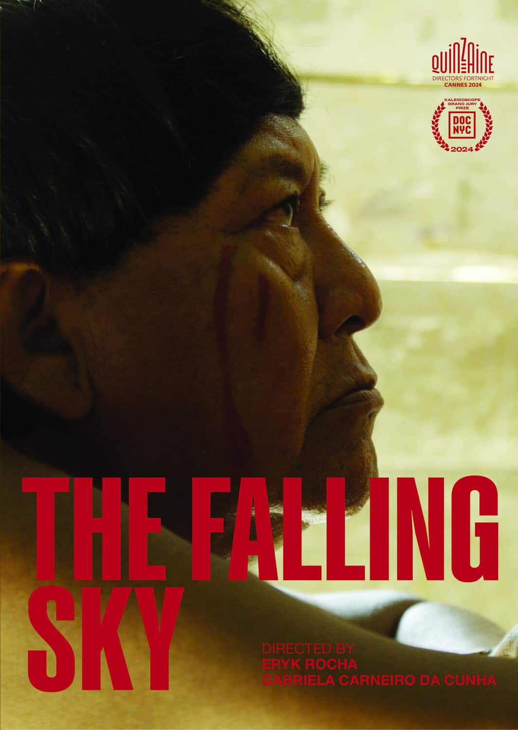 The Falling Sky  - DVD