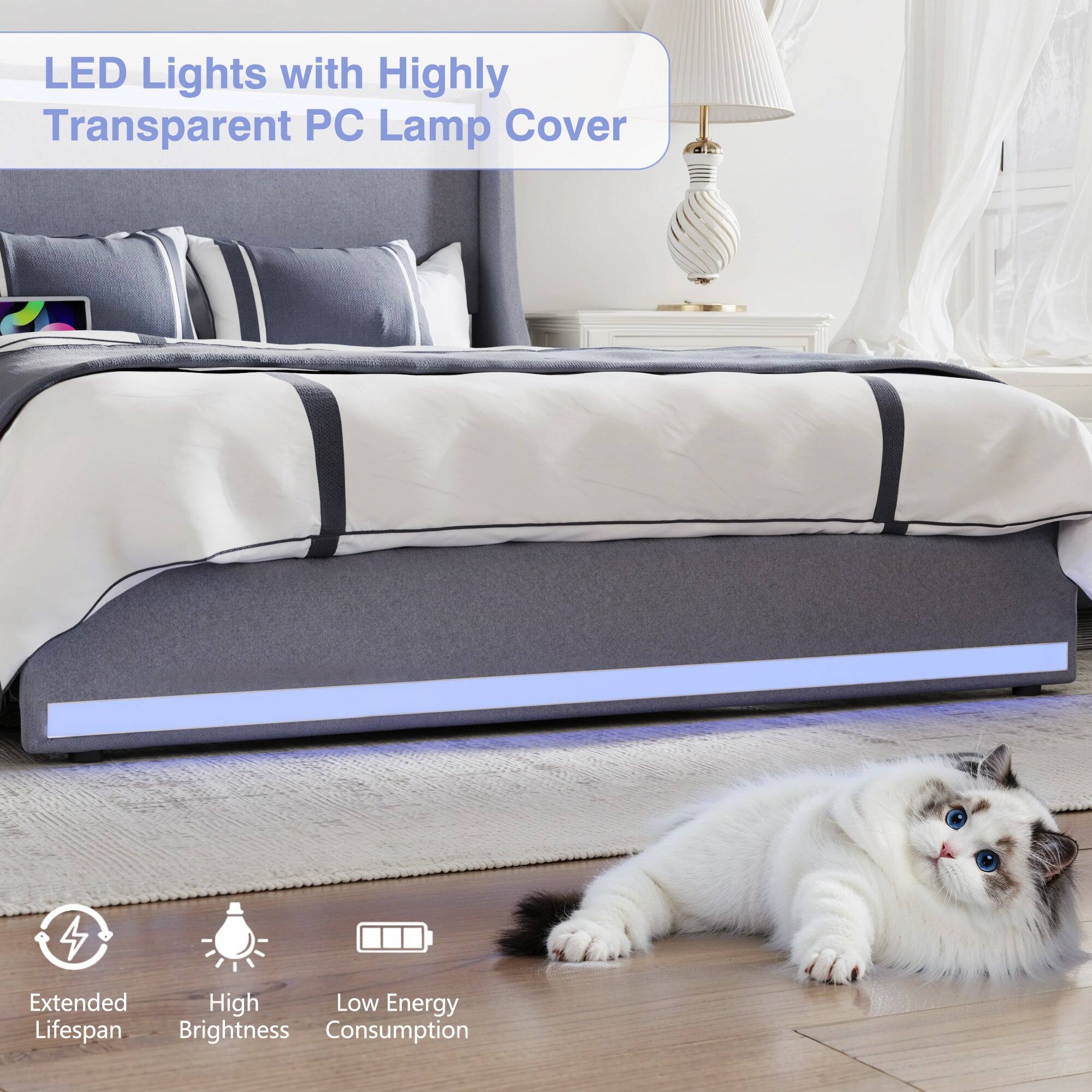 LED Lights with Highly Transparent PC Lamp Cover

- Extended Lifespan
- High Brightness
- Low Energy Consumption