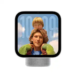 Apple - HomeView - Silver