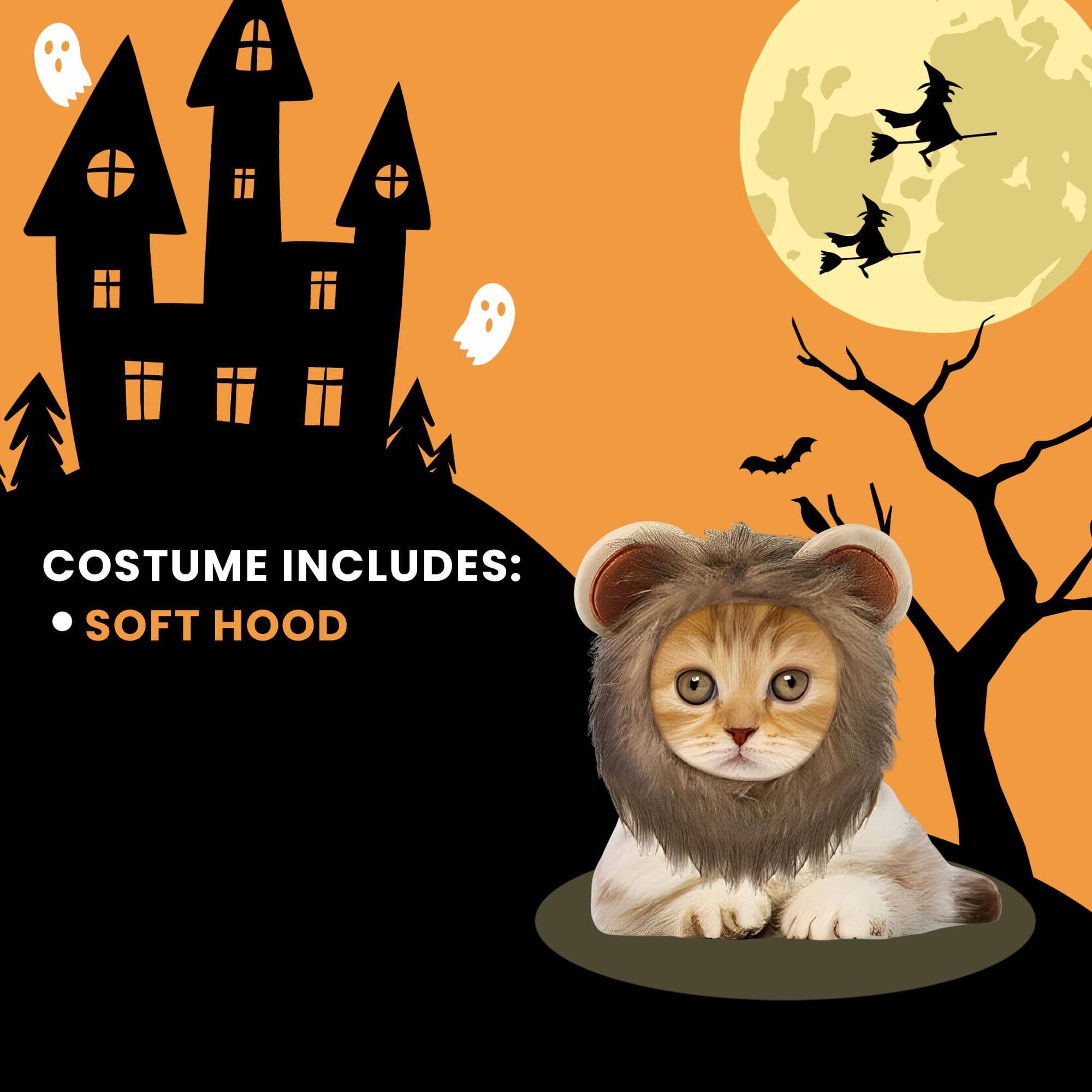 COSTUME INCLUDES:  
• SOFT HOOD