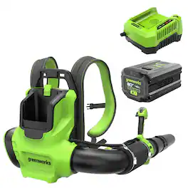 Greenworks - 80V 750 CFM Battery Powered Backpack Leaf Blower, with 4.0Ah Battery and Rapid Charger - Green