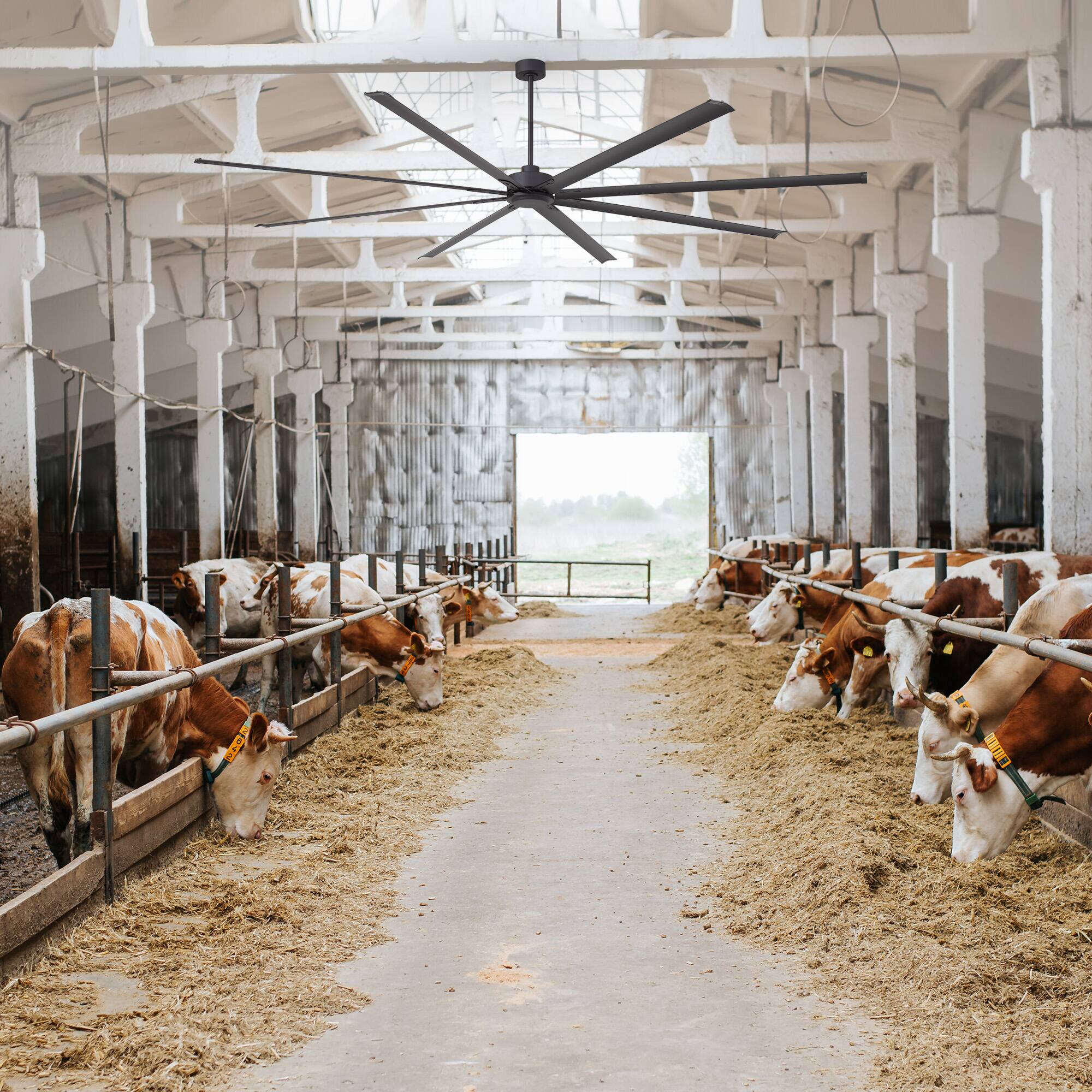 Alt View 1. Breezary - 120/144 Inch 12ft HVLS Industrial Ceiling Fan, DC Motor,  Aluminum Blades, Downrod Mount, High Airflow, Commercial Grade - 120-inch Black (8-Blade).