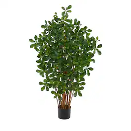 BreeBe - 3.5' Black Olive Artificial Tree with 945 Leaves - Green