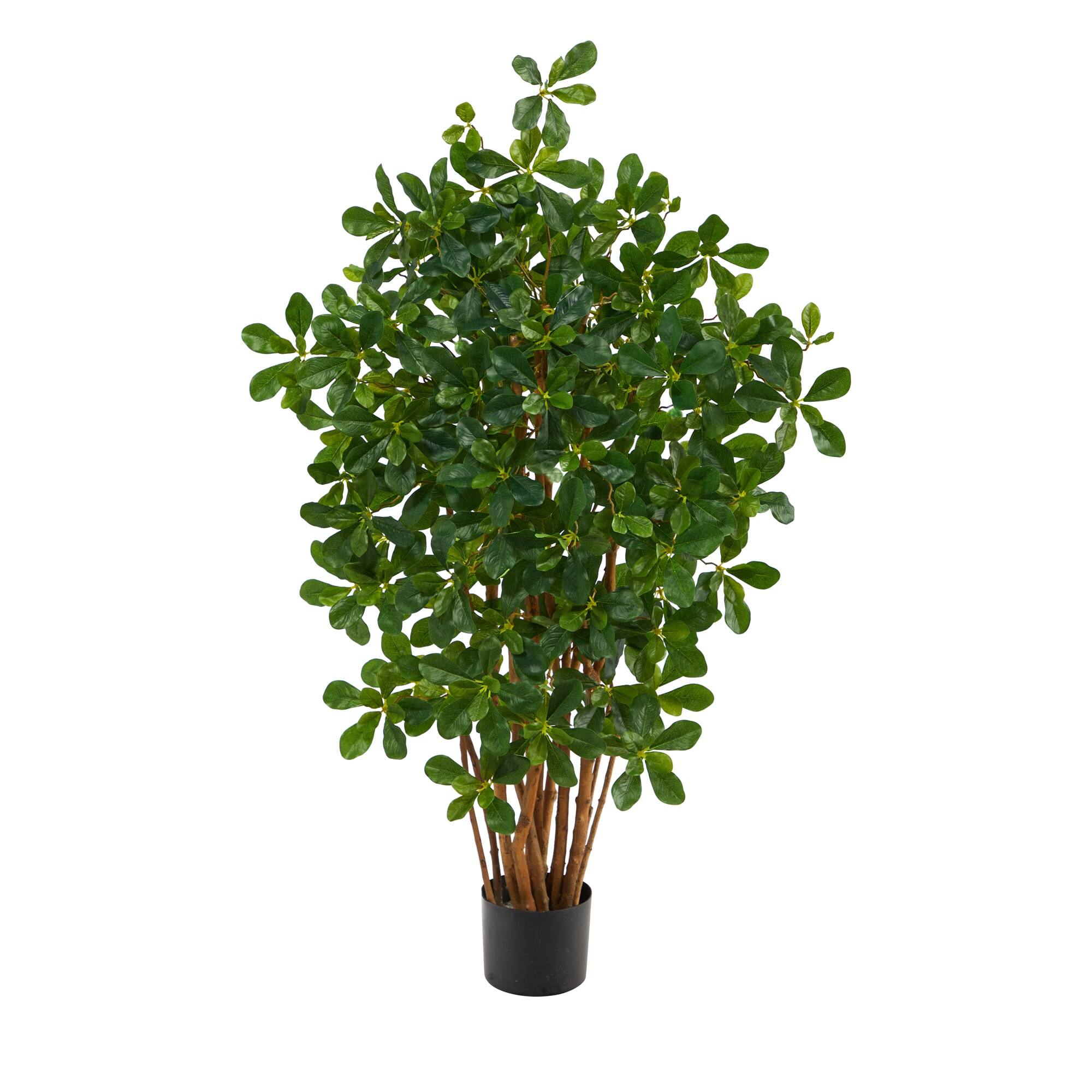 Front. BreeBe - 3.5' Black Olive Artificial Tree with 945 Leaves - Green.