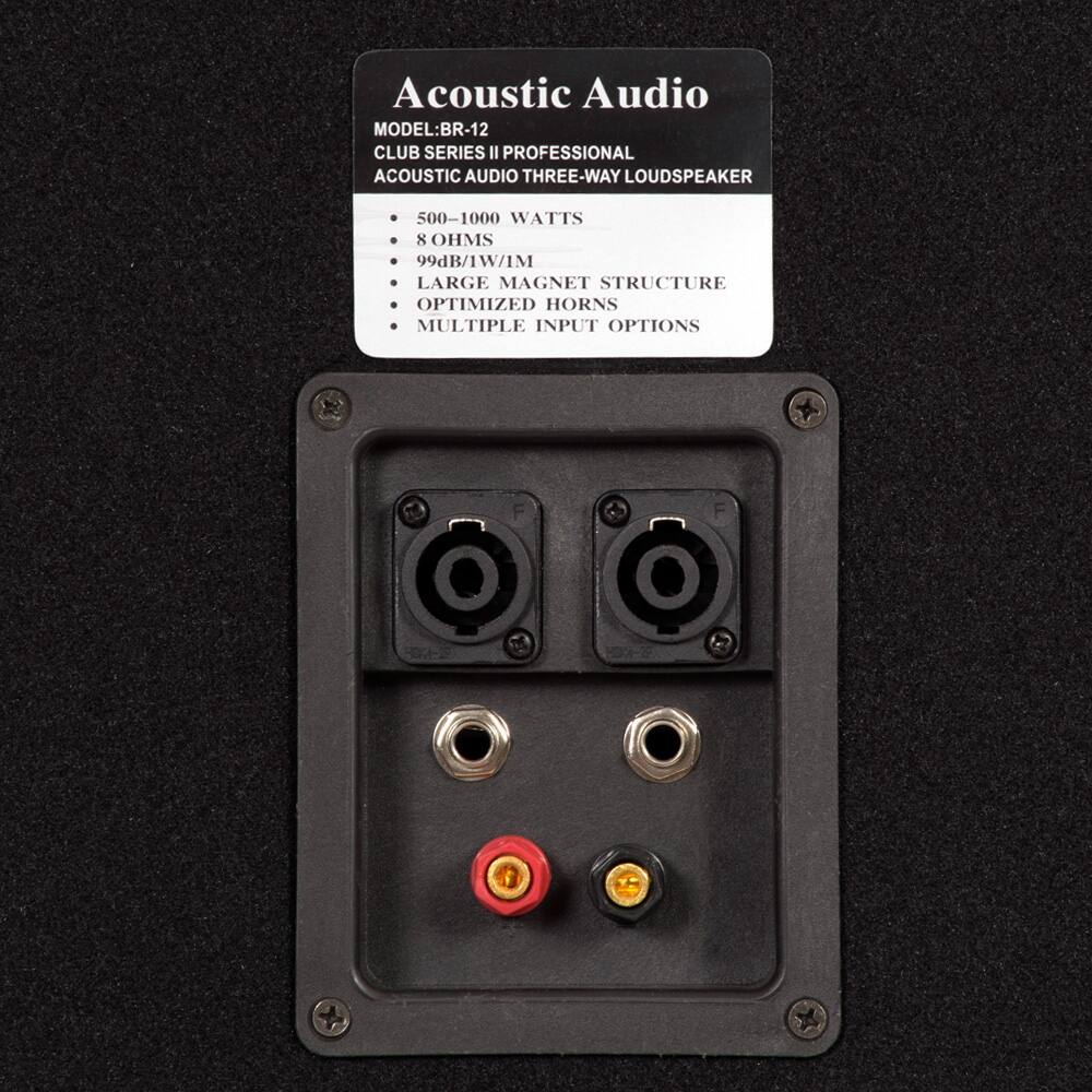 Acoustic Audio  
MODEL: BR-12  
CLUB SERIES II PROFESSIONAL  
ACOUSTIC AUDIO THREE-WAY LOUDSPEAKER  

- 500-1000 WATTS  
- 8 OHMS  
- 99dB/W/IM  
- LARGE MAGNET STRUCTURE  
- OPTIMIZED HORNS  
- MULTIPLE INPUT OPTIONS