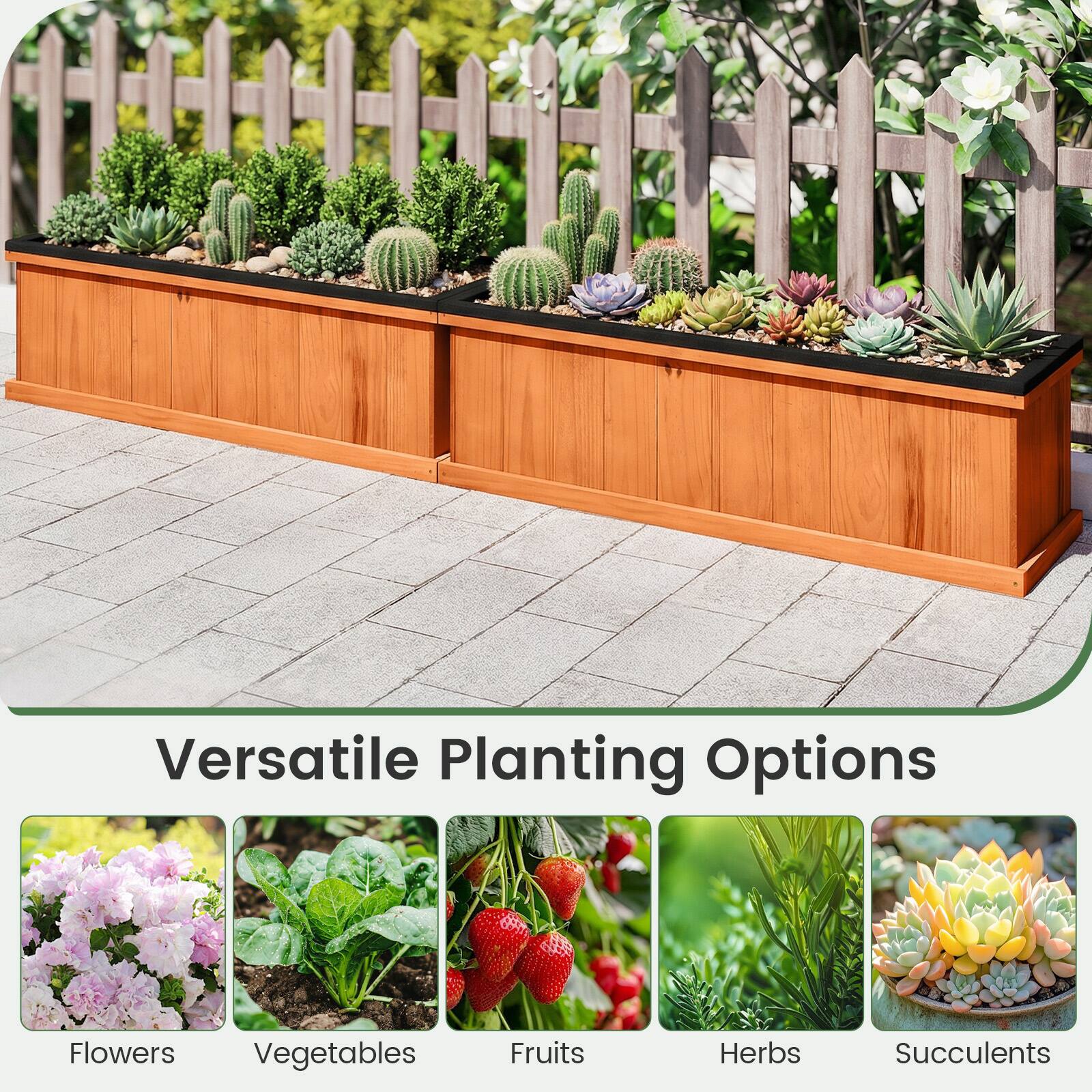Versatile Planting Options

- Flowers
- Vegetables
- Fruits
- Herbs
- Succulents