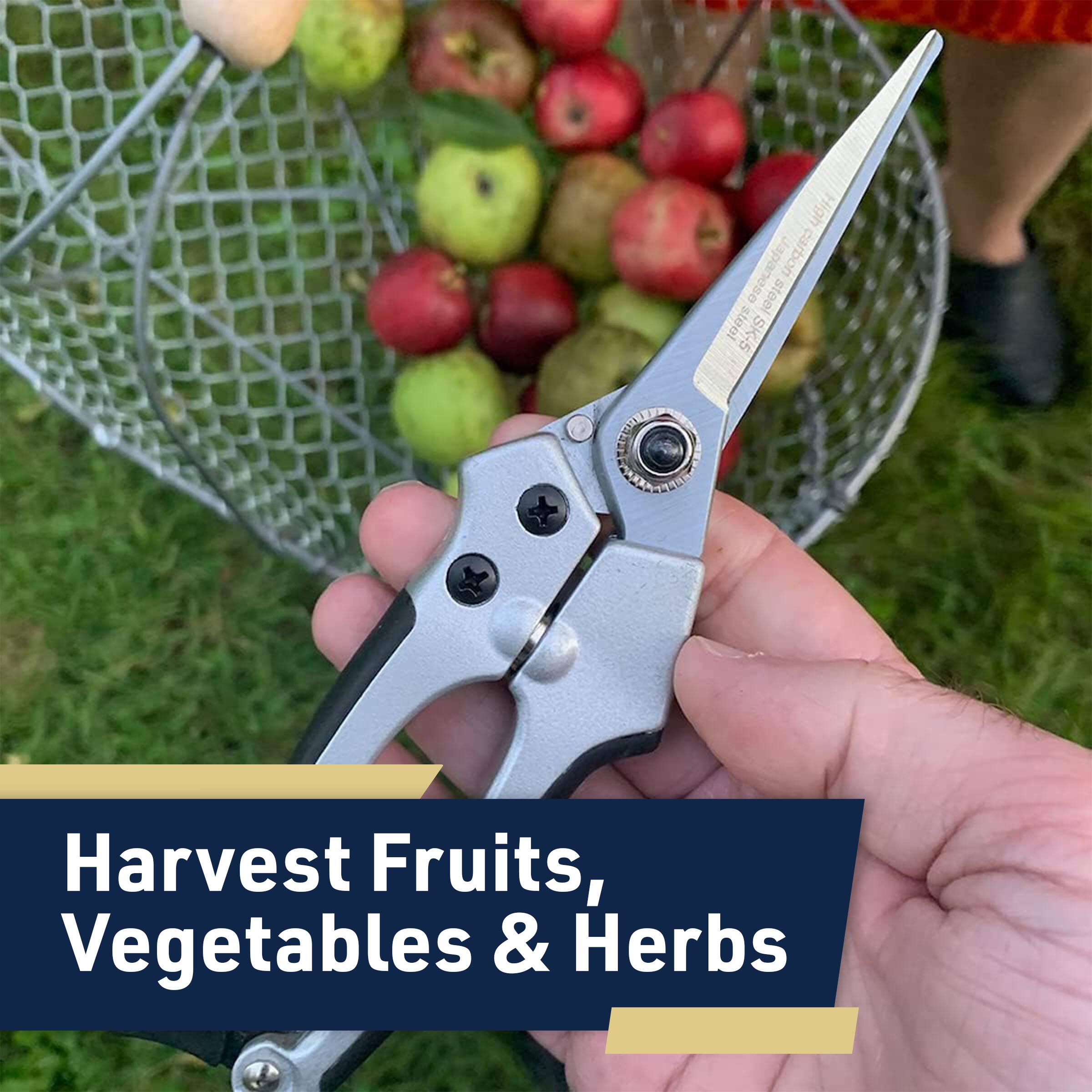 High Japanese carbon steel steel SK-5  
Harvest Fruits, Vegetables & Herbs