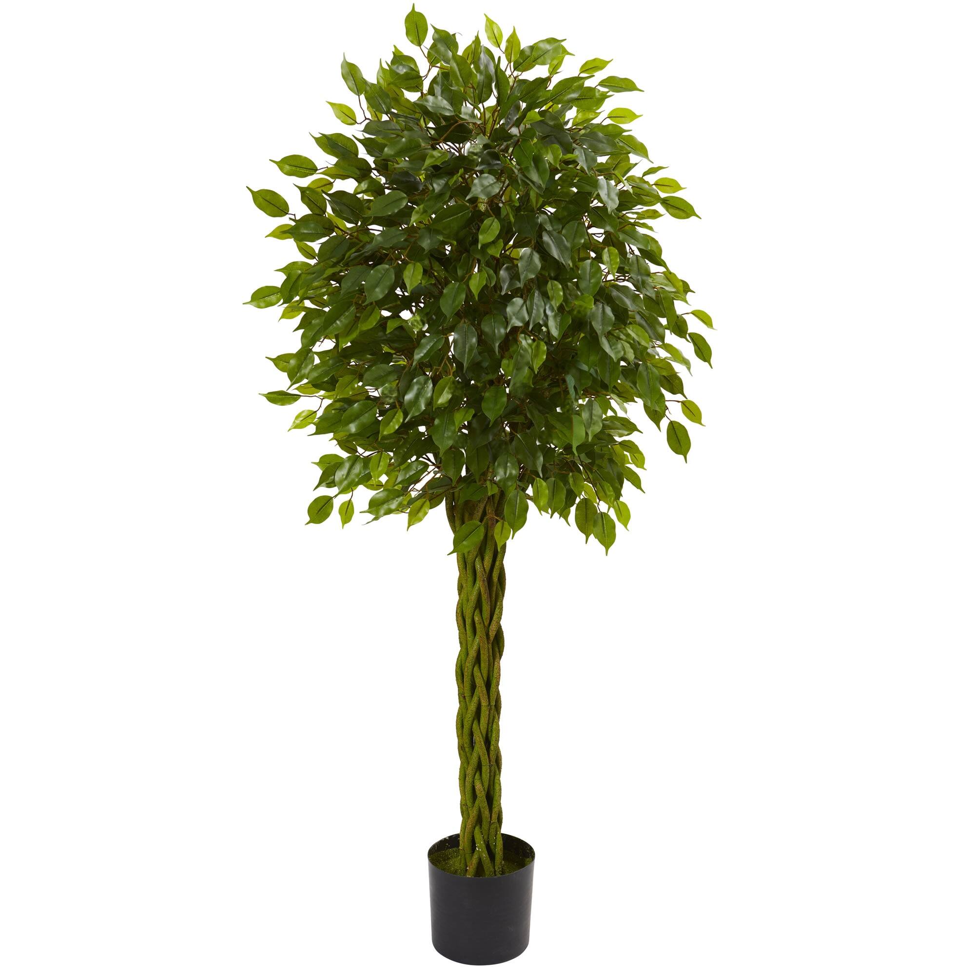 Front. BreeBe - 5' Ficus Tree w/Braided Trunk UV Resistant (Indoor/Outdoor) - Green.