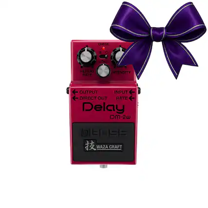 CHECK
ECHO
REPEAT RATE
INTENSITY
OUTPUT
DIRECT OUT
INPUT RATE
Delay
DM-2w
BOSS
WAZA CRAFT