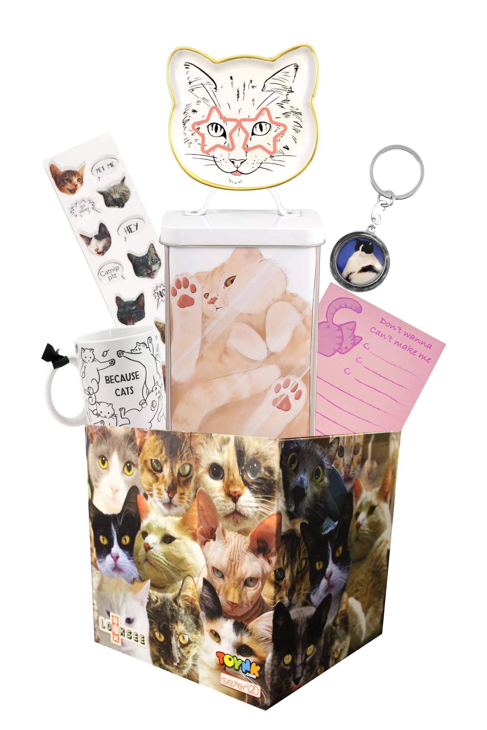 Toynk - All About Cat's Themed LookSee Mystery Gift Box with 6 Cat Themed Items - Multi-Color