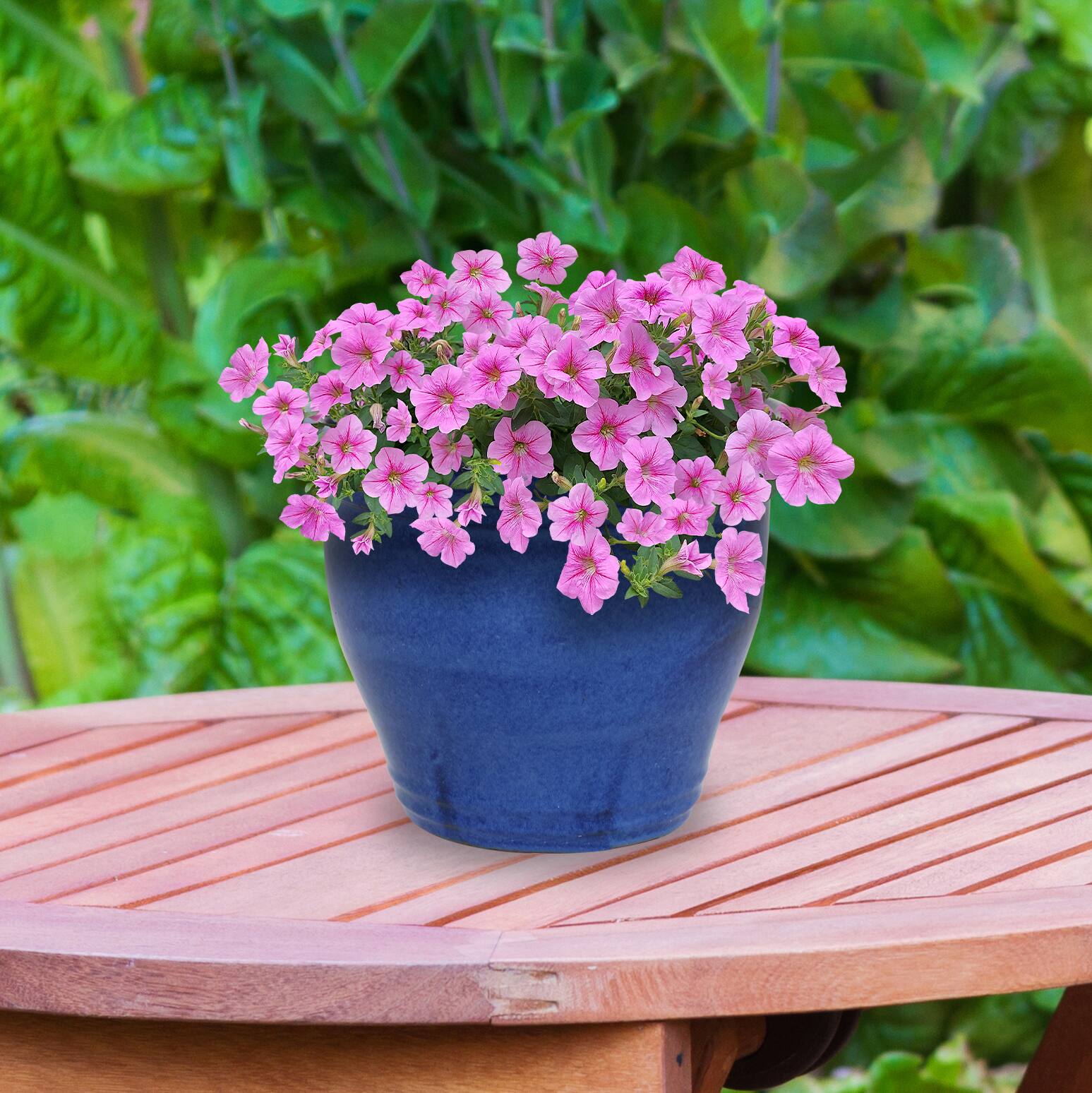 Alt View 7. Sunnydaze - 15 in Studio High-Fired Glazed Ceramic Planter - Imperial Blue.