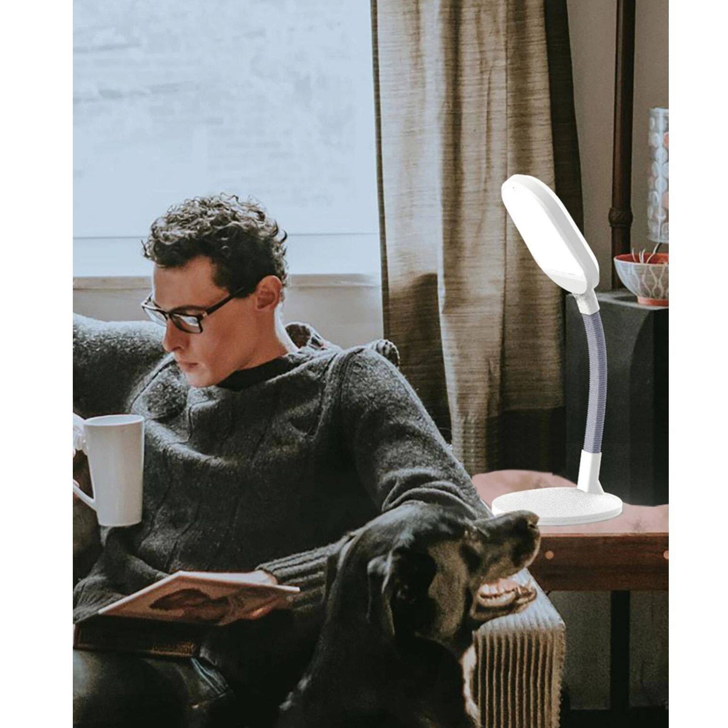 Back. Home Collection - LED Energy Efficient Desk Lamp with Adjustable Dimmer Switch – Modern Task Light.