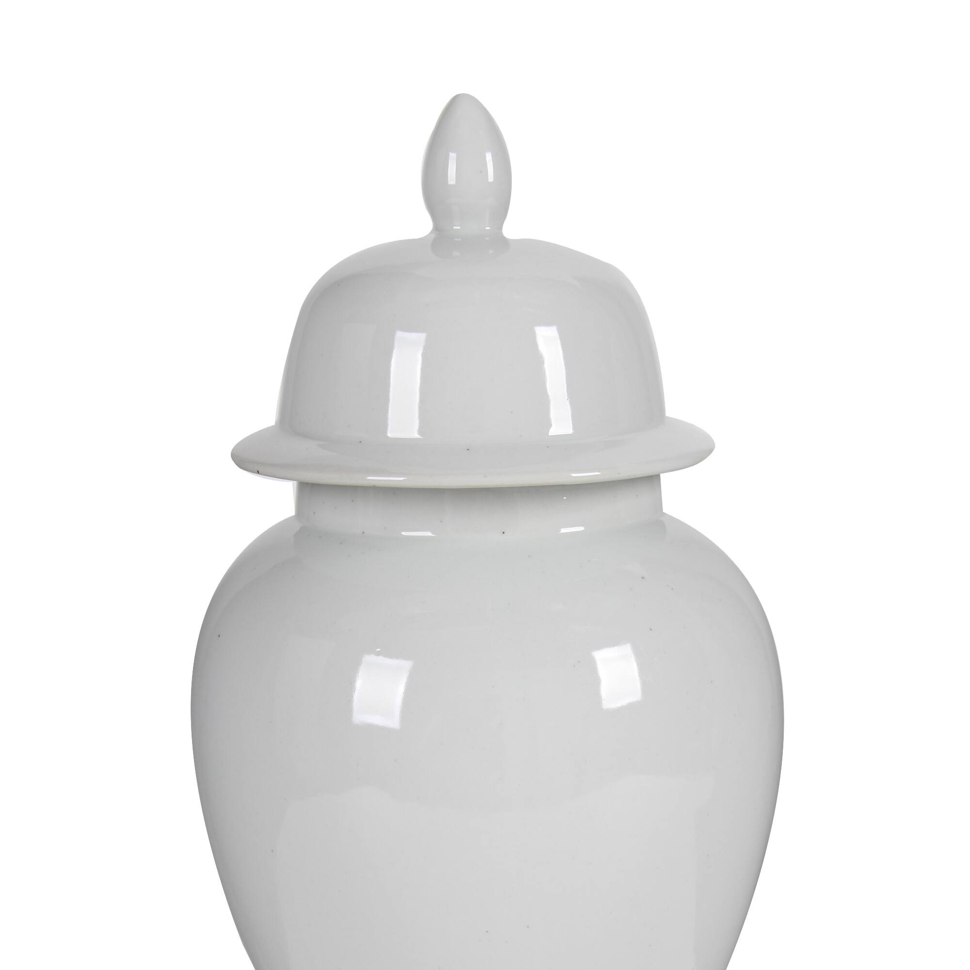 Alt View 1. Manhattan Lane - Kipp Decorative Porcelain Ginger Jar with Lidded Top, Large - White.