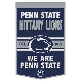 WinCraft - Penn State Nittany Lions 24" x 38" Primary Logo Banner - Multicolor