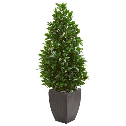 Front. BreeBe - 56" Bay Leaf Cone Topiary UV in Planter (Indoor/Outdoor) - Green.