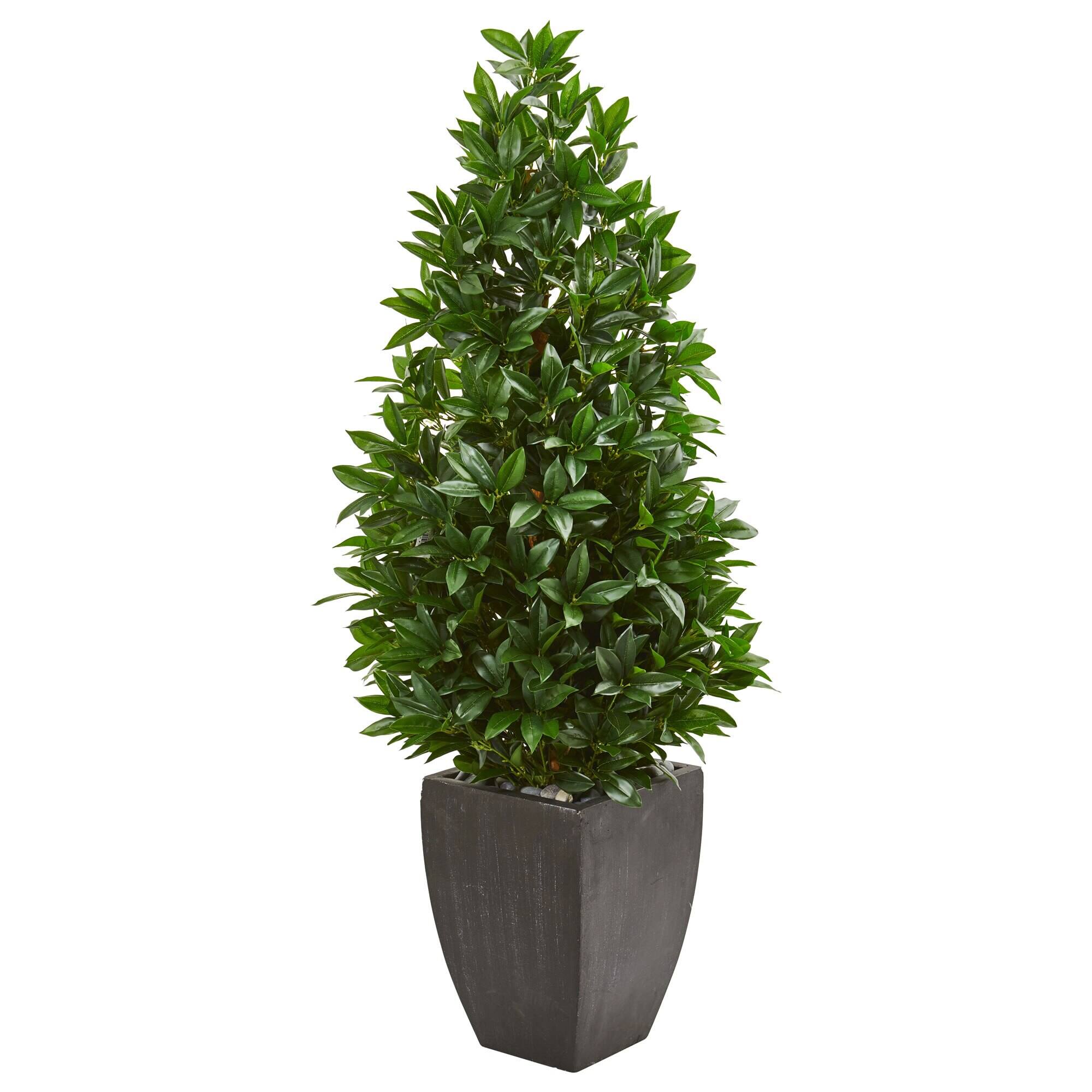 Front. BreeBe - 56" Bay Leaf Cone Topiary UV in Planter (Indoor/Outdoor) - Green.