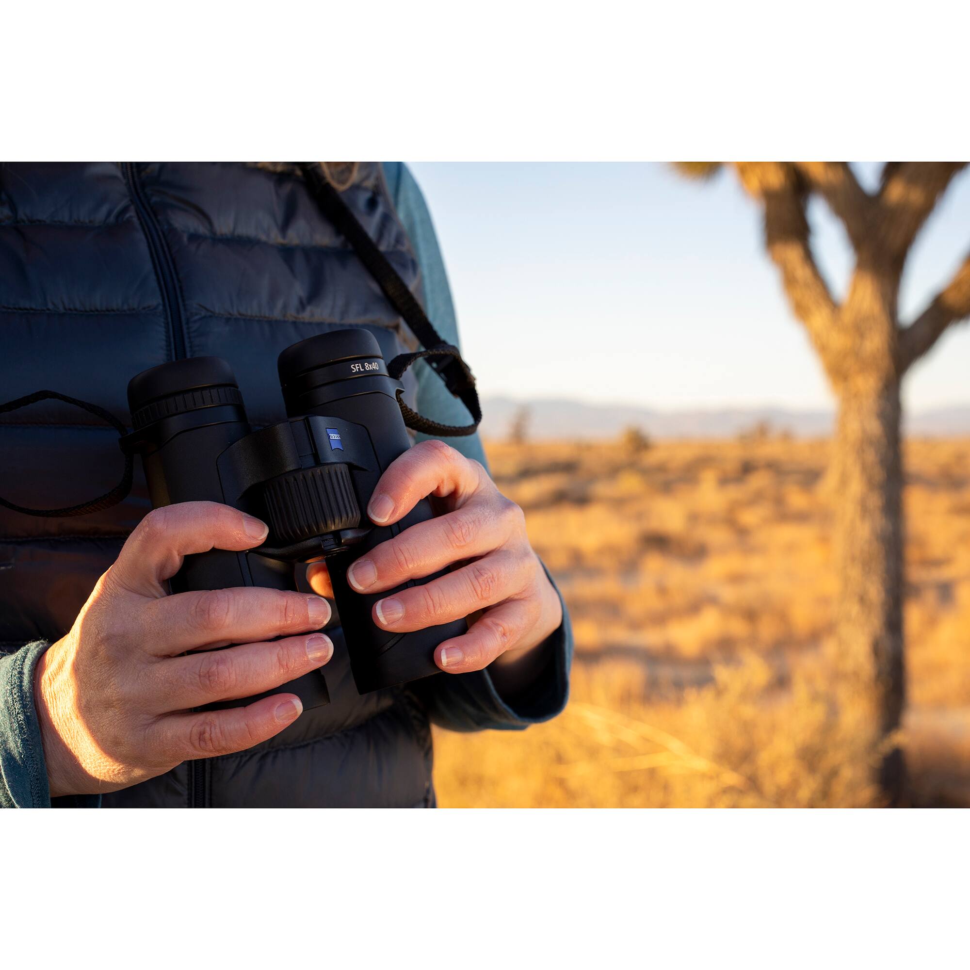 Angle. ZEISS - Zeiss Optics SFL 8x40 Compact and Waterproof Binoculars for Adults.