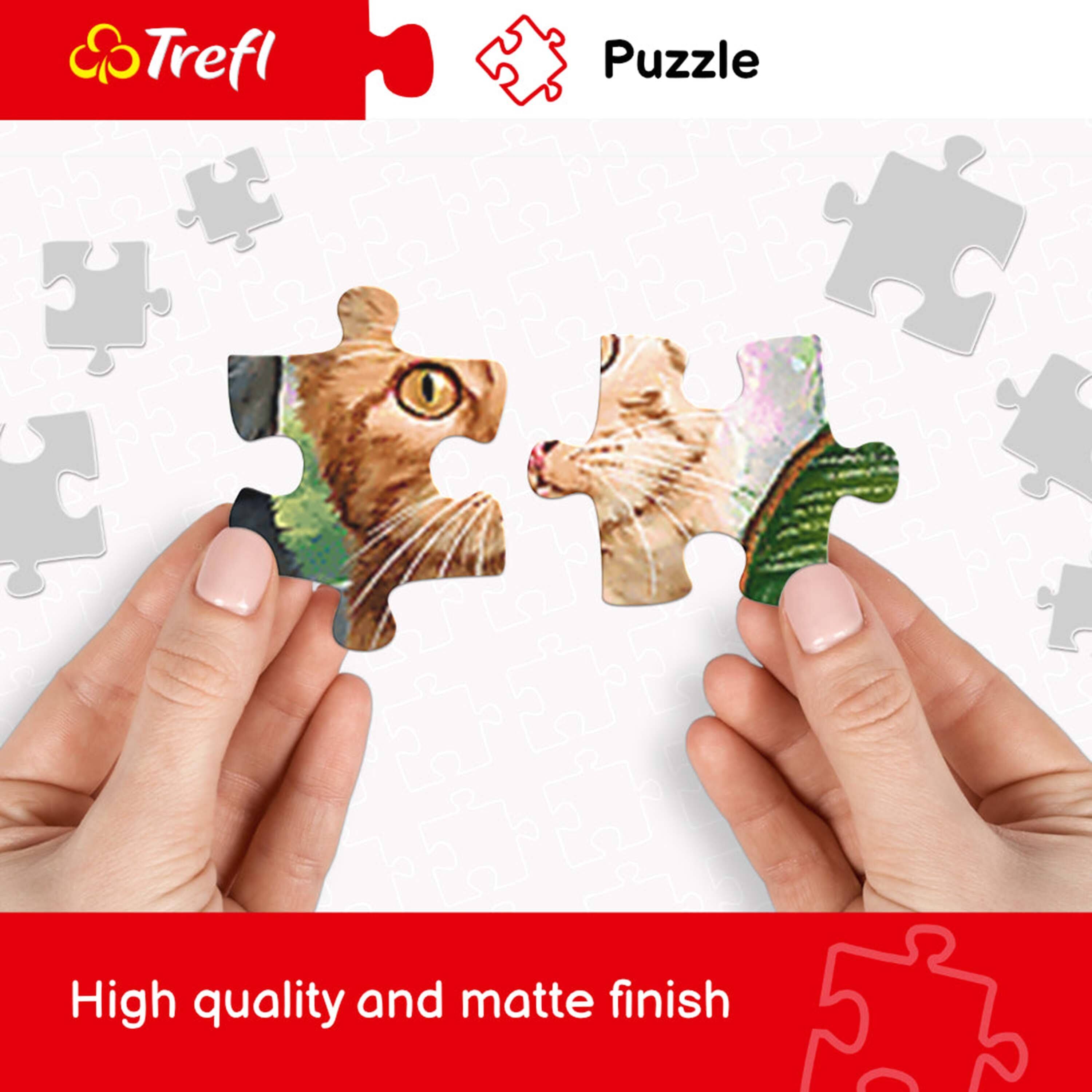 Trefl  
Puzzle  
High quality and matte finish