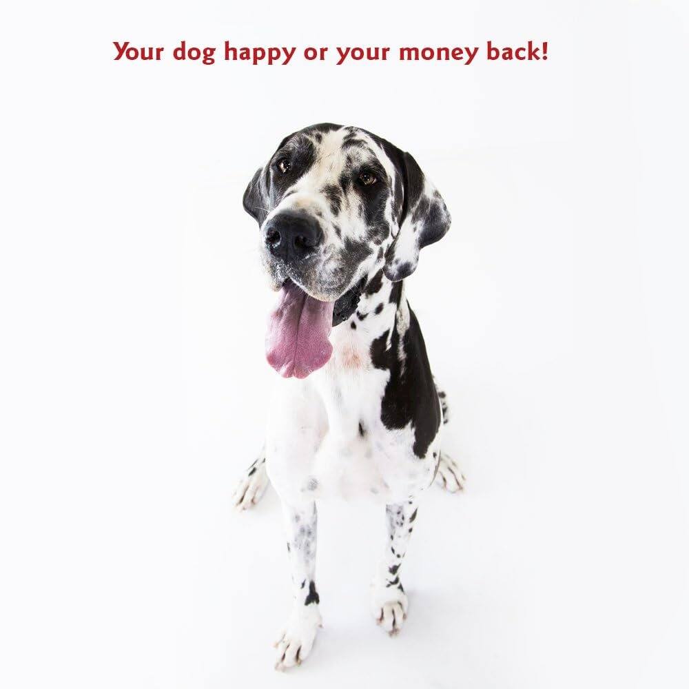 Your dog happy or your money back!