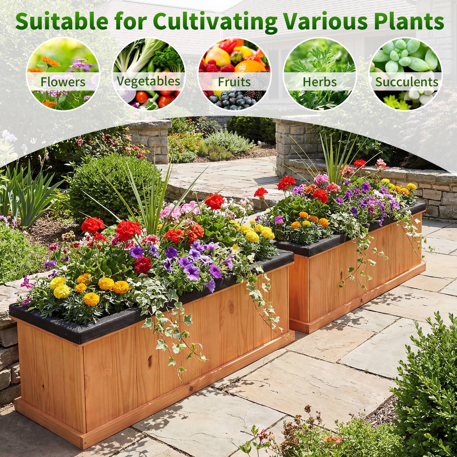 Suitable for Cultivating Various Plants

- Flowers
- Vegetables
- Fruits
- Herbs
- Succulents