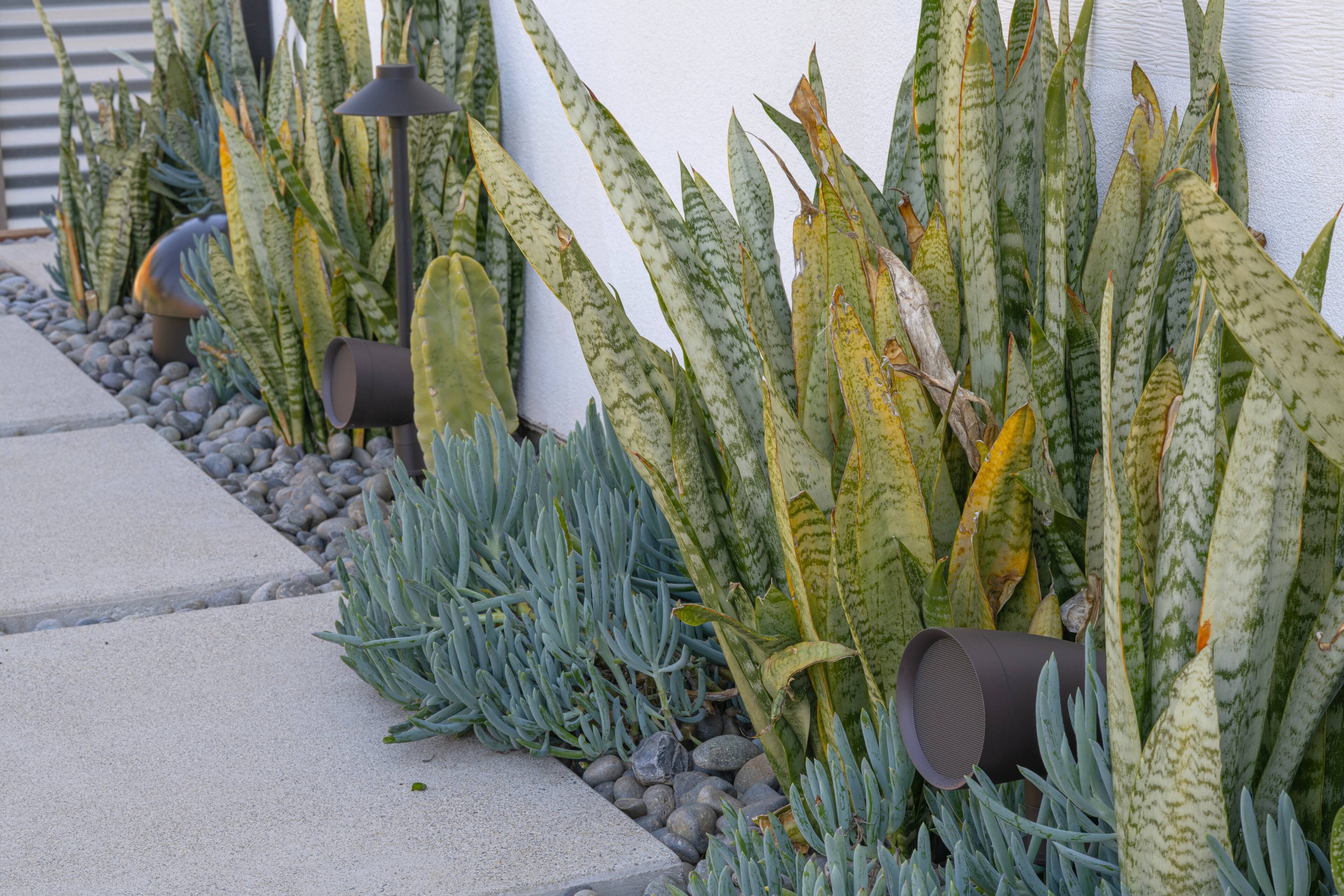 Alt View 21. Sonance - MAG6.1 - Mag Series 6.1-Ch. Landscape Outdoor Speaker System Powered by Sonos (Each) - Brown/Black.