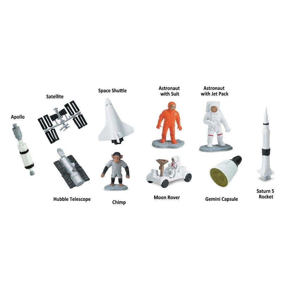 Satellite  
Space Shuttle  
Astronaut with Suit  
Astronaut with Jet Pack  
Apollo  
Hubble Telescope  
Chimp  
Moon Rover  
Gemini Capsule  
Saturn 5 Rocket