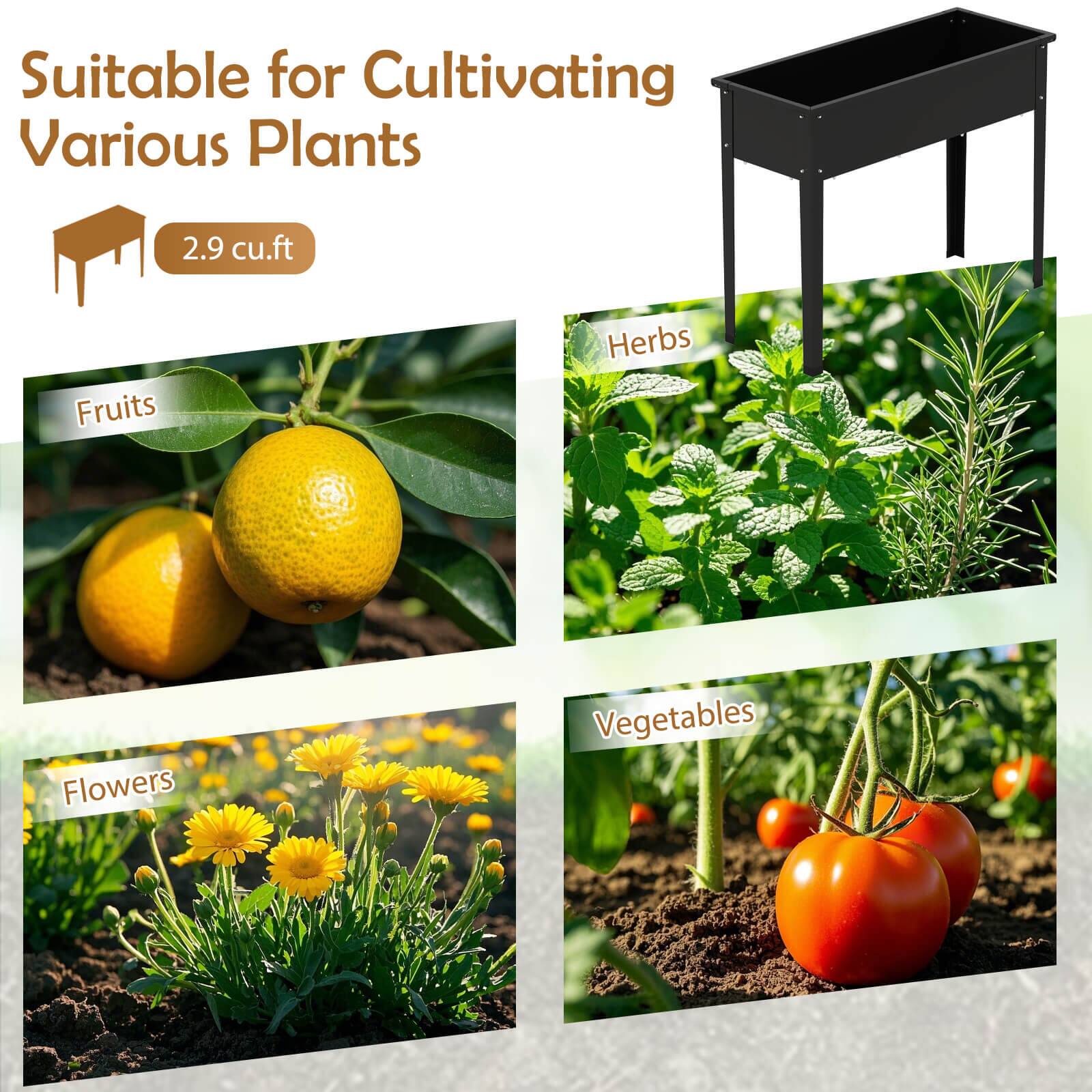 Suitable for Cultivating Various Plants  
2.9 cu.ft  

Fruits  
Herbs  
Flowers  
Vegetables