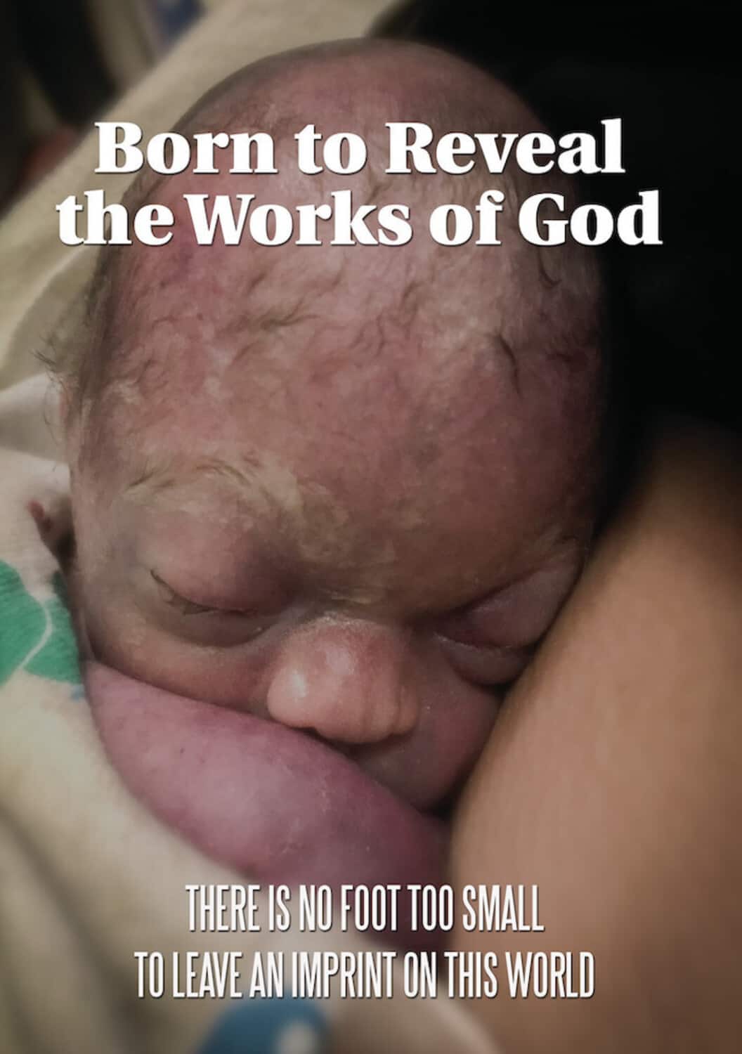 Born to Reveal the Works of God   - DVD price history on PriceWatchPro