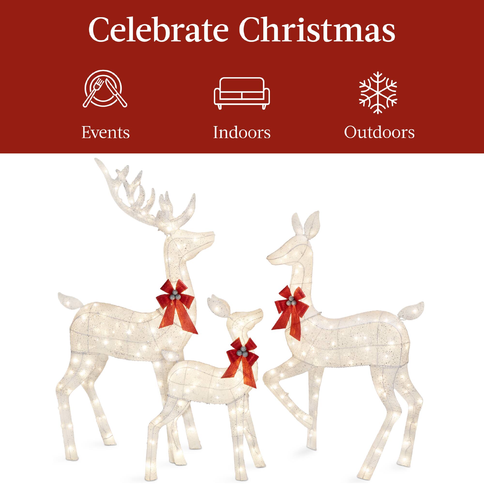 Celebrate Christmas

Events Indoors Outdoors