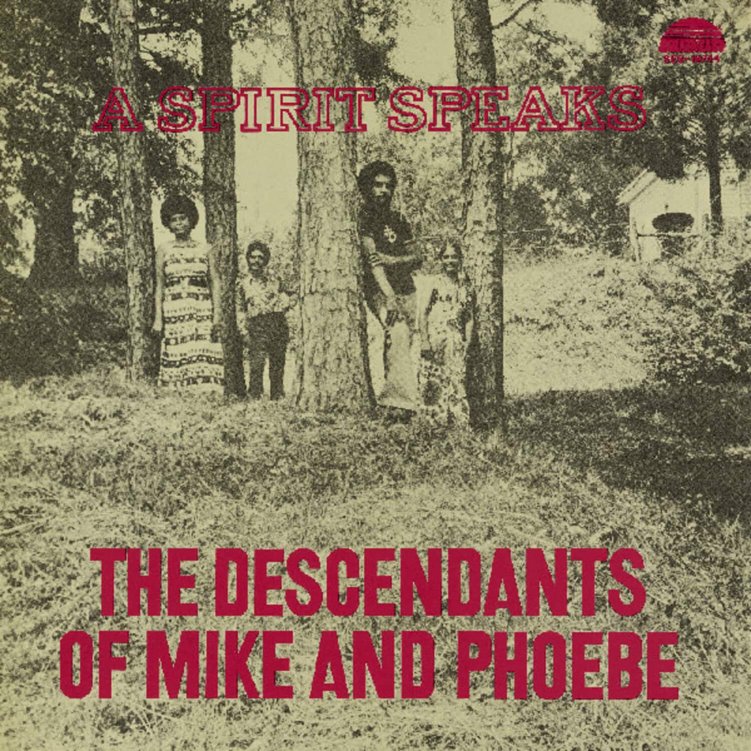 Descendants Of Mike And Phoebe / Lee,Bill - A Spirit Speaks   - COMPACT DISCS [CD] price history on PriceWatchPro