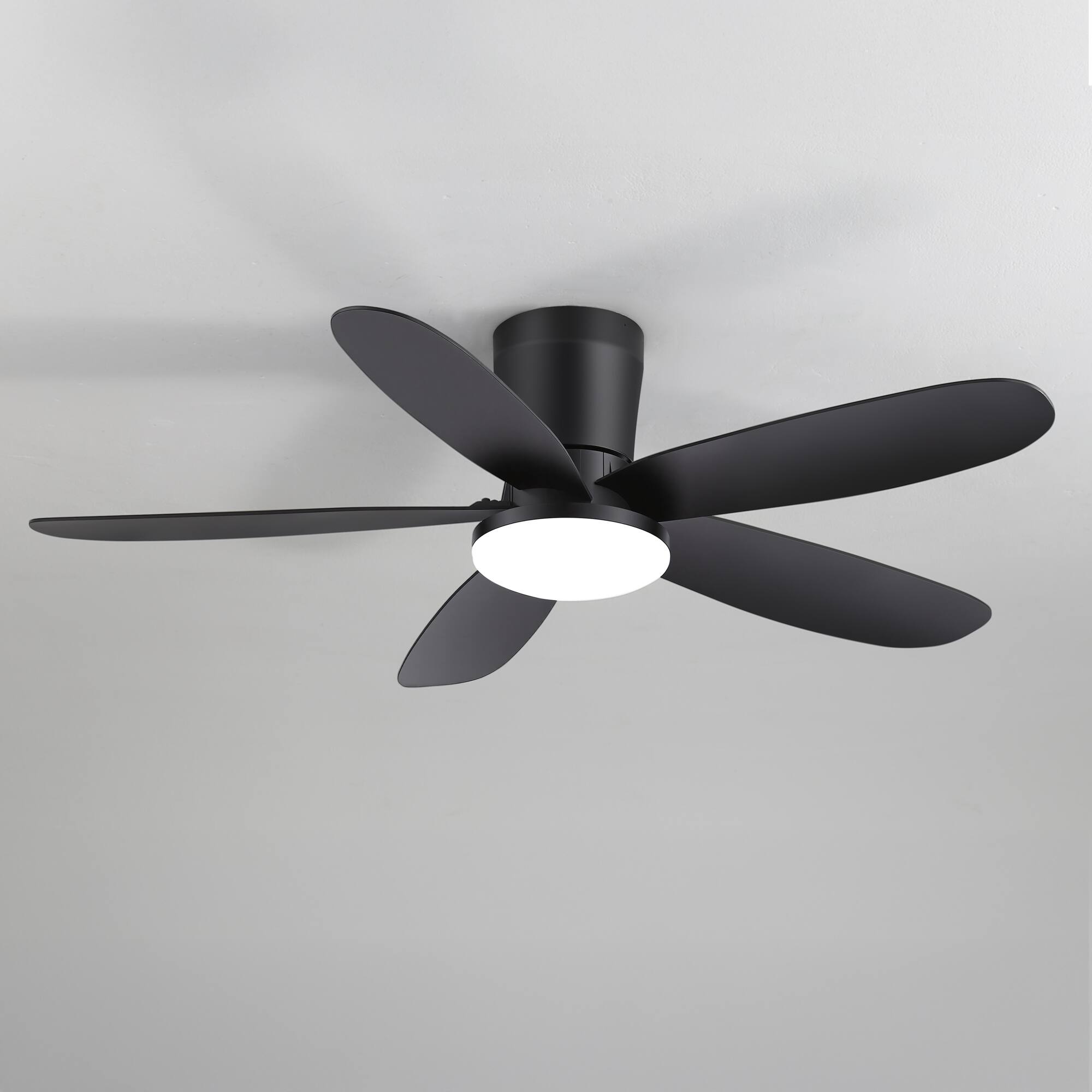 Breezary 42 Inch Ceiling Fan with Dimmable LED Light, Acrylic Shade, 6 ...