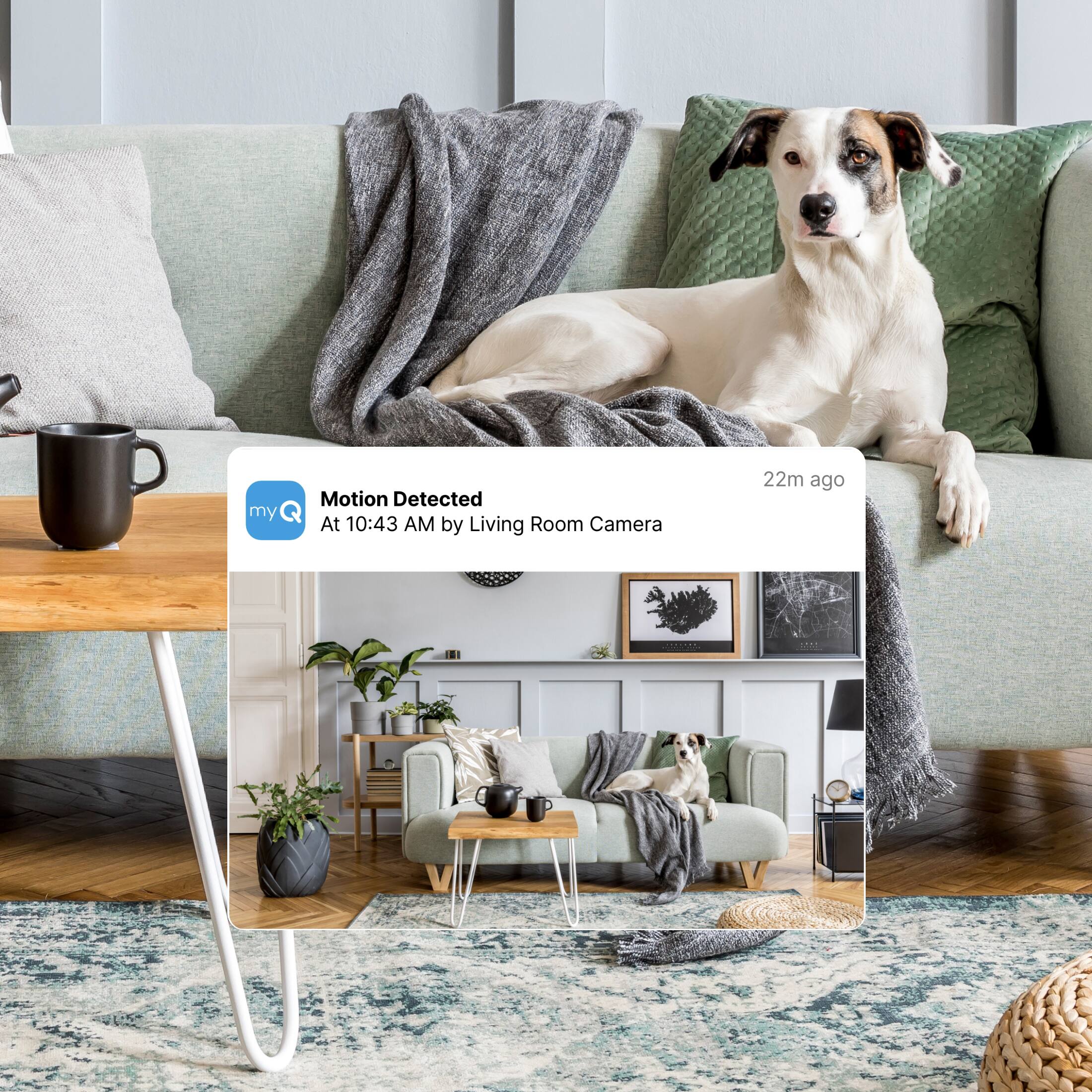 My Motion Detected At 10:43 AM by Living Room Camera 22m ago | 5os1