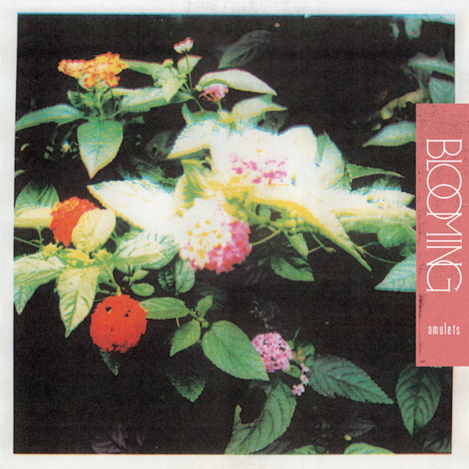 Amulets - Blooming   - VINYL LP