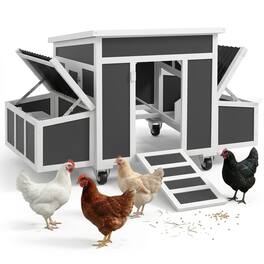 Pawhut - Chicken Coop with Nesting Box for 2-4 Chickens