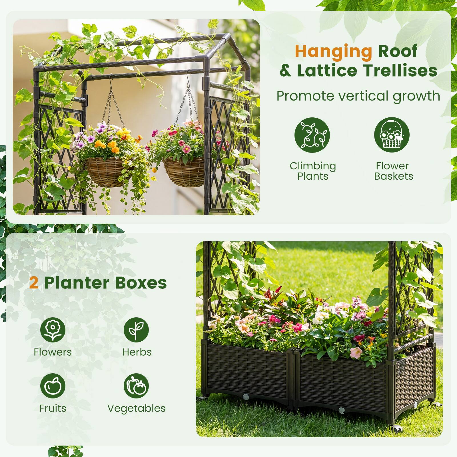 Hanging Roof & Lattice Trellises  
Promote vertical growth  
Climbing Plants  
Flower Baskets  

2 Planter Boxes  
Flowers  
Herbs  
Fruits  
Vegetables
