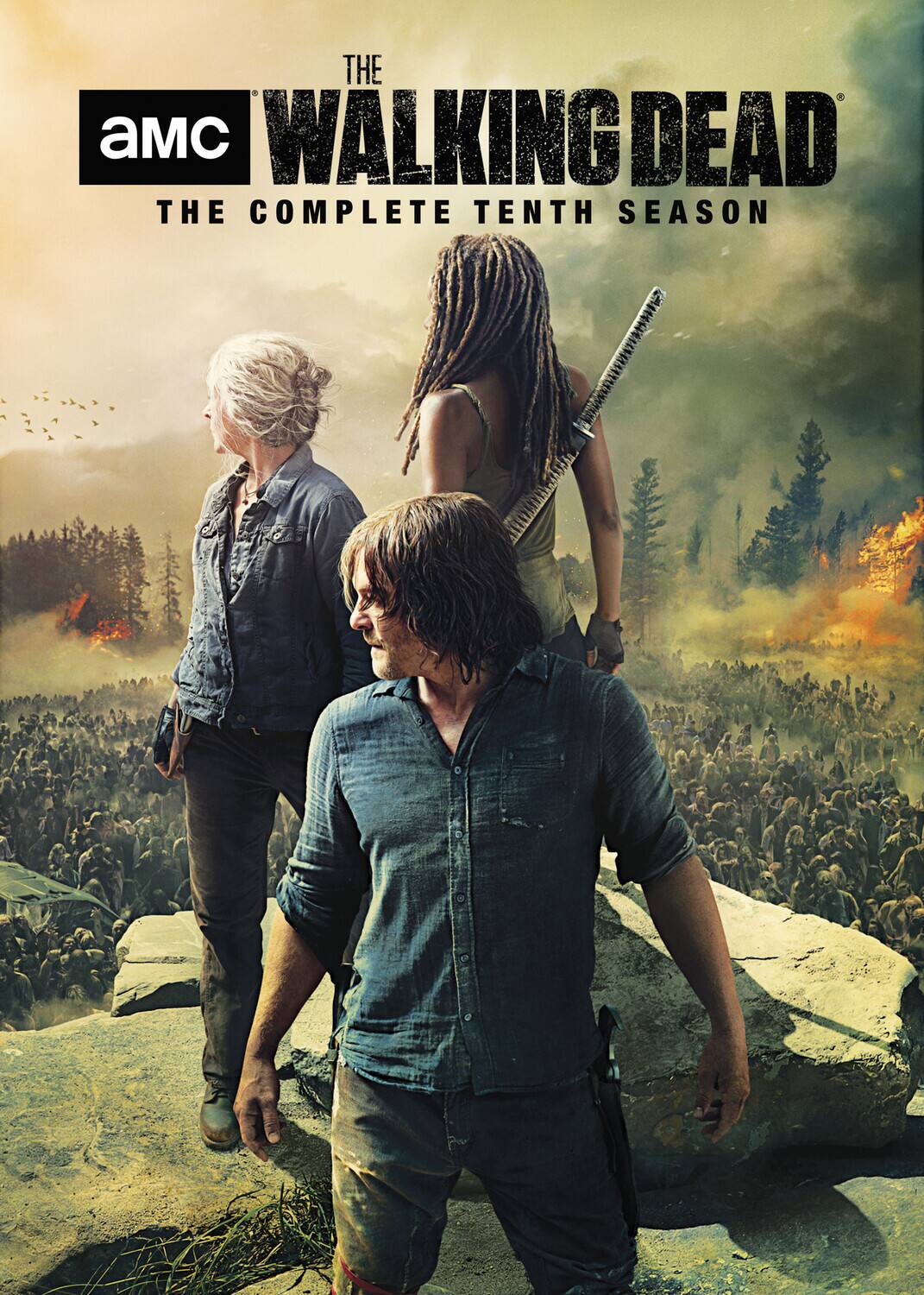 The Walking Dead: The Complete Tenth Season   - DVD
