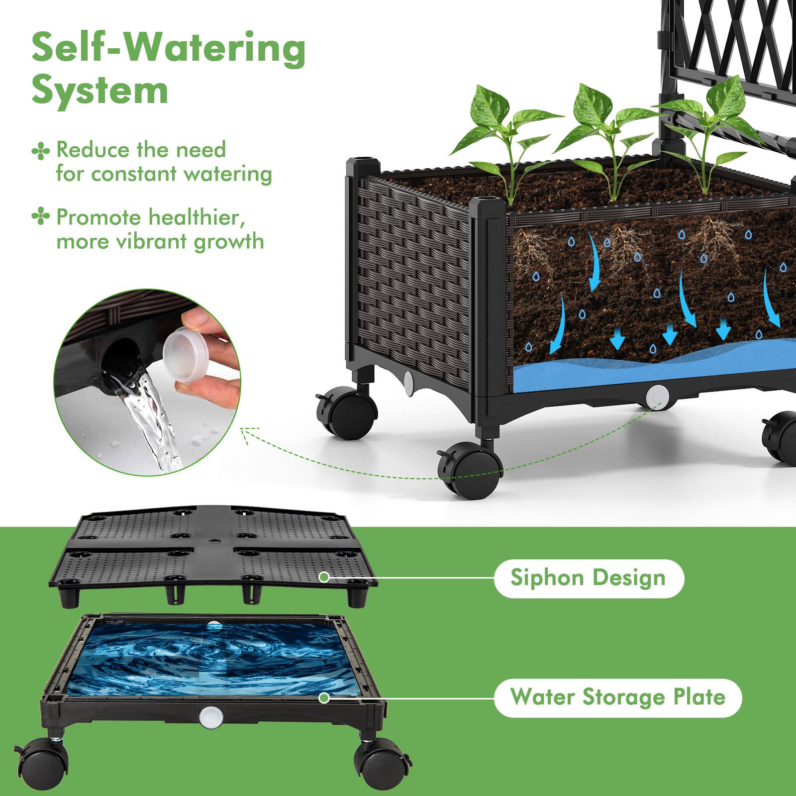Self-Watering System  
- Reduce the need for constant watering  
- Promote healthier, more vibrant growth  

Siphon Design  
Water Storage Plate