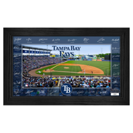 Highland Mint - Tampa Bay Rays Framed 12" x 20" 2025 Signature Field Photograph - Facsimile Signatures - Limited Edition of 5,000 - Multicolor