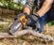 Alt View 16. WORX - 20V 5" Cordless Pruning Saw (1 x 2.0 Ah Battery and 1 x Charger) - Black.