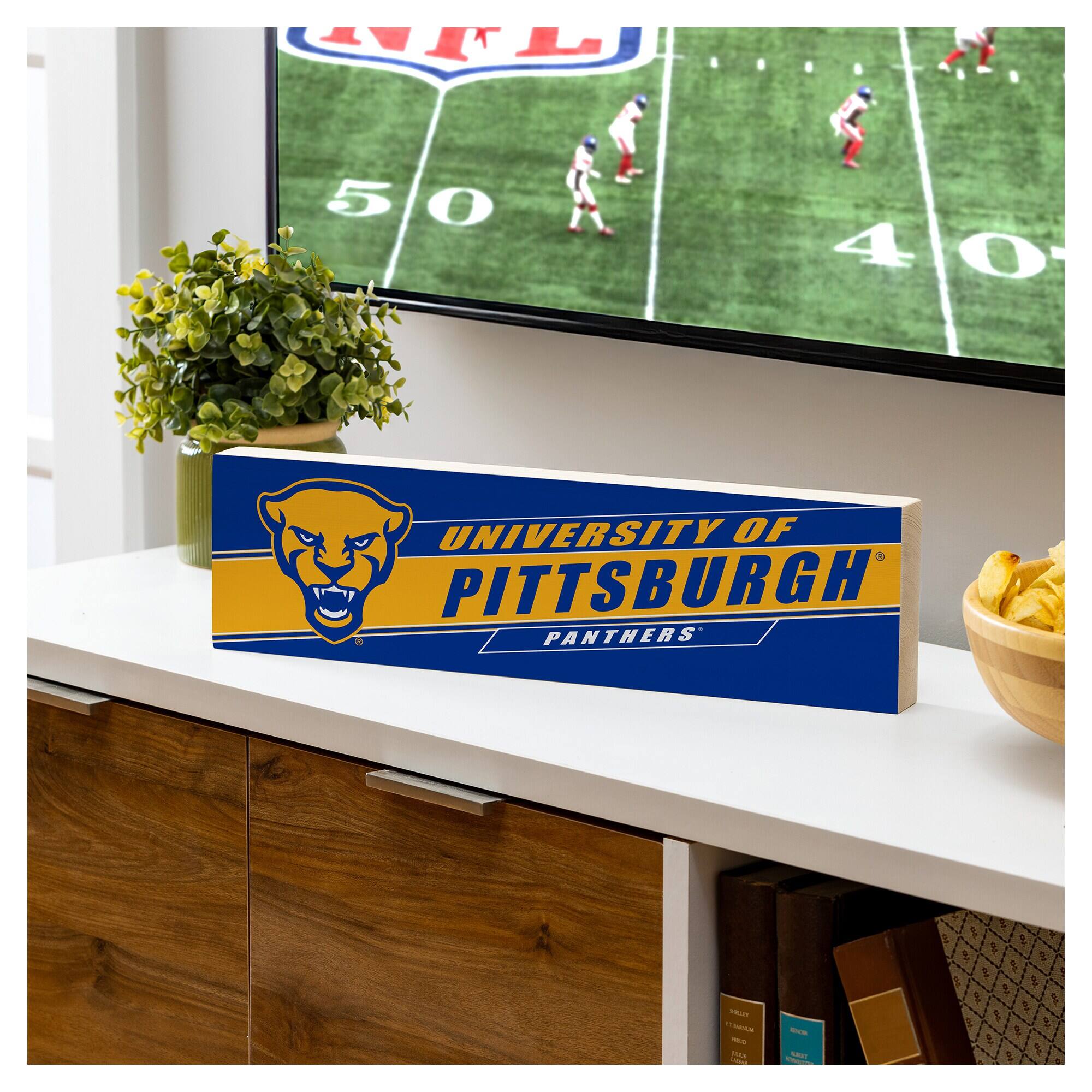 UNIVERSITY OF PITTSBURGH  
PANTHERS
