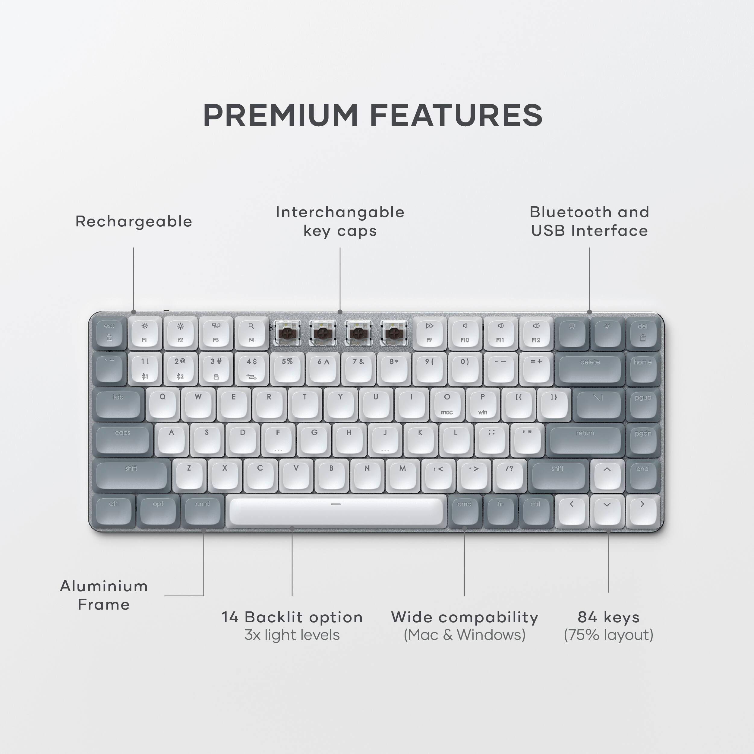 PREMIUM FEATURES

- Rechargeable
- Interchangeable key caps
- Bluetooth and USB Interface
- Aluminium Frame
- 14 Backlit option (3x light levels)
- Wide compatibility (Mac & Windows)
- 84 keys (75% layout)