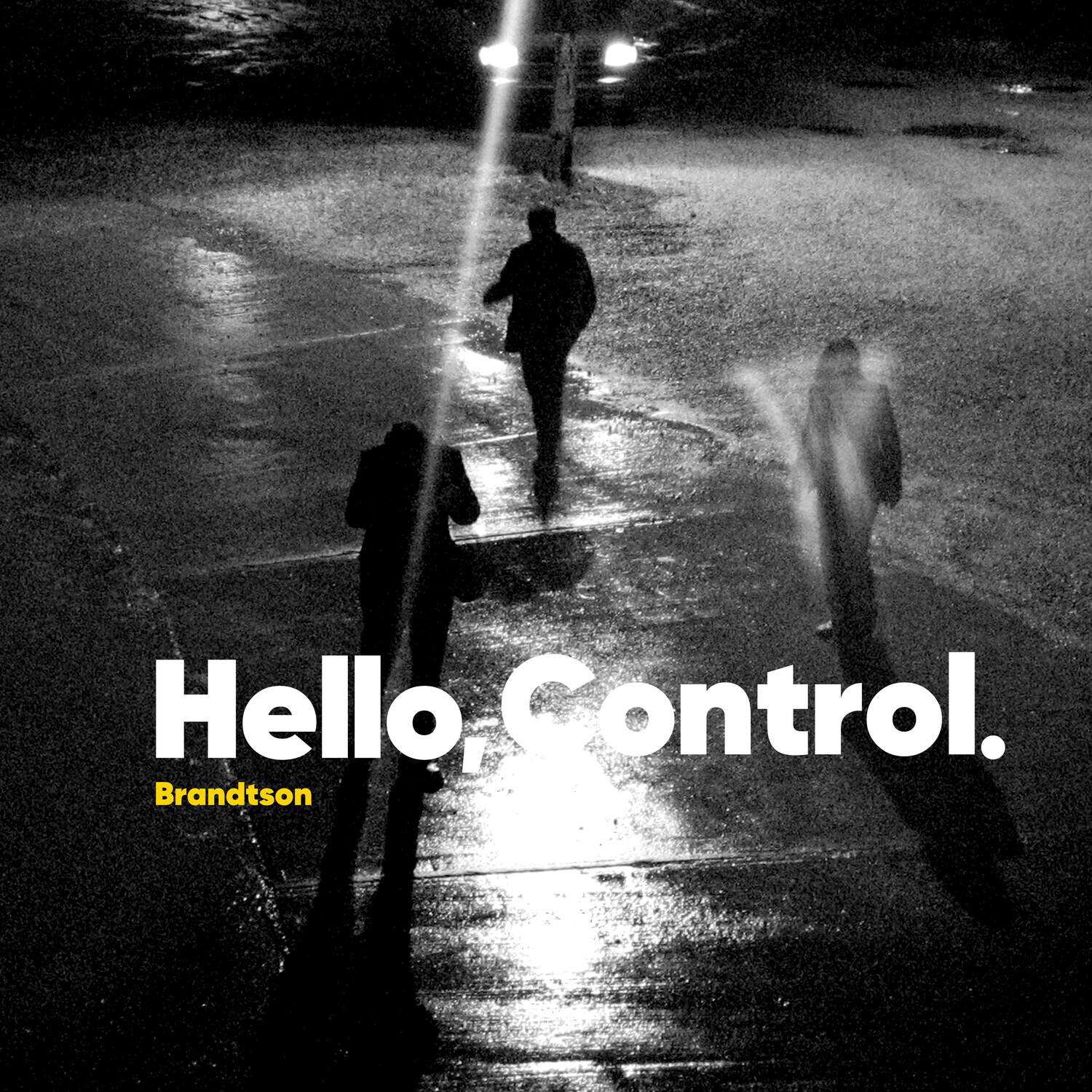 Brandtson - Hello Control - VINYL LP