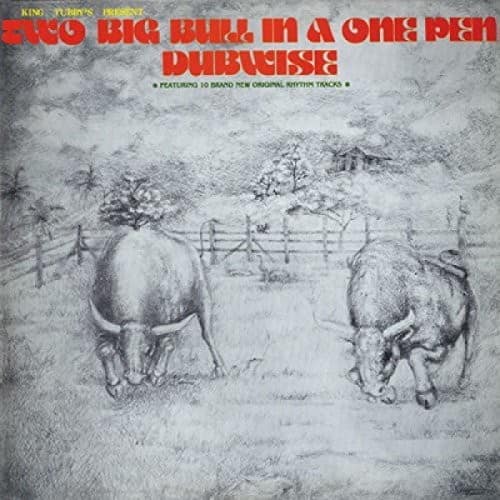 King Tubby's - Two Big Bull In A One Pen (Dubwise Versions)  - COMPACT DISCS