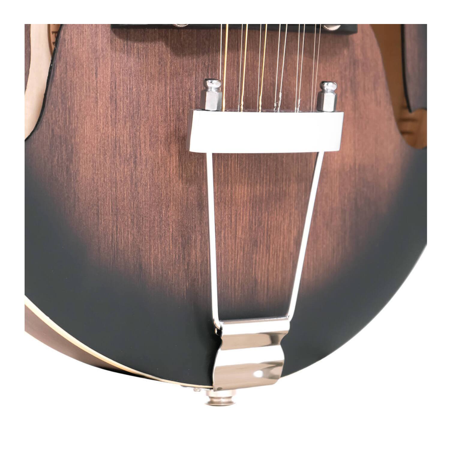 Angle. Gold Tone - Gold Tone F-12: 12-string F-style Mando-Guitar with Pickup and Case.