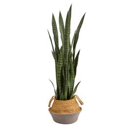 BreeBe - 46" Sansevieria Plant in Cotton & Jute Gray Woven Planter - Green