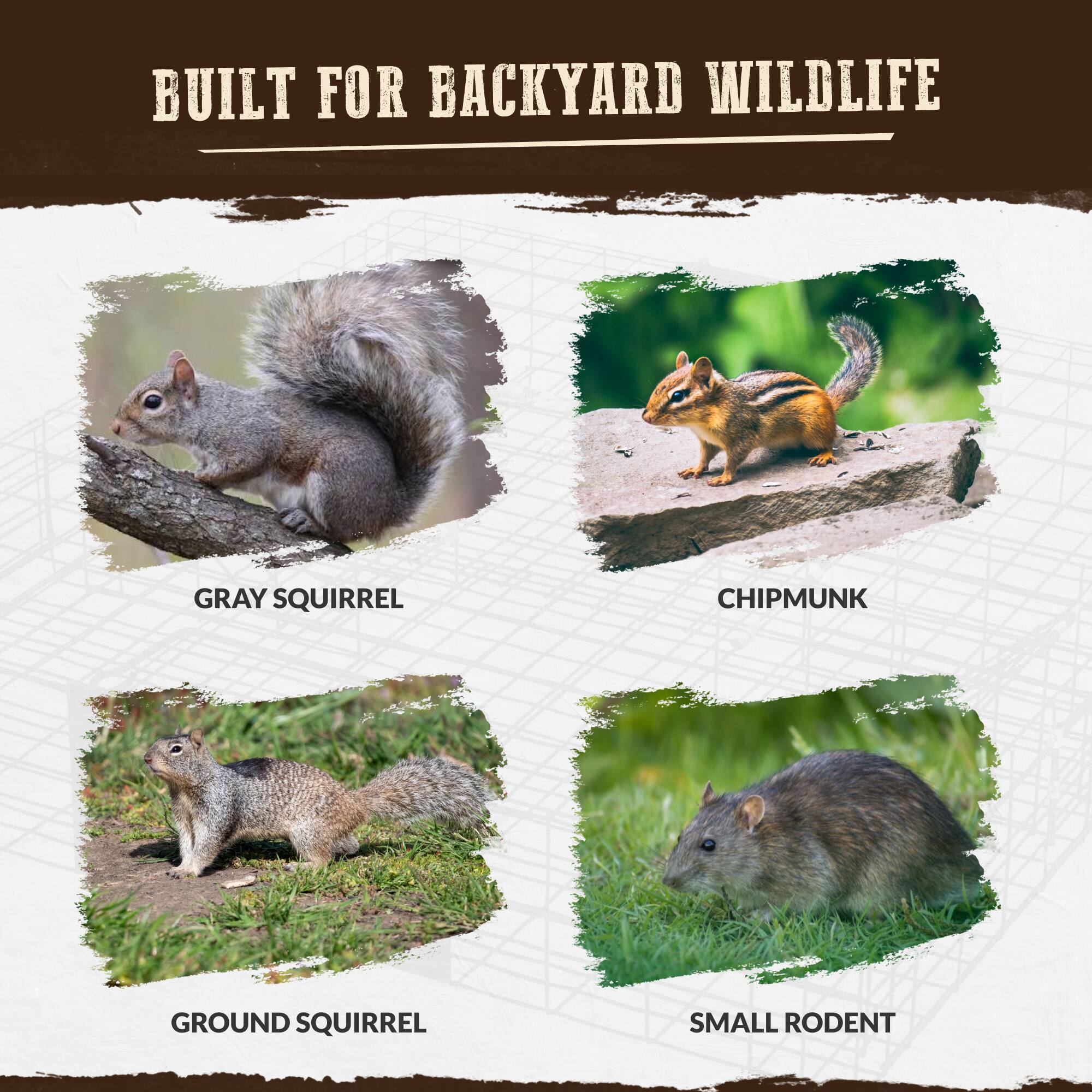BUILT FOR BACKYARD WILDLIFE

GRAY SQUIRREL

CHIPMUNK

GROUND SQUIRREL

SMALL RODENT
