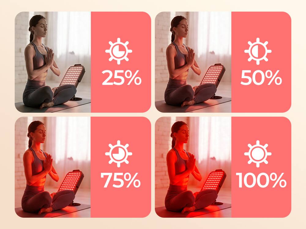 25% 50% 75% 100%