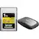 Cfast Express Types Gold Series Professional 1TB CFexpress 4.0 Type A Memory Card WITH ...